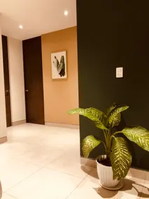 Depa Palma🌴/ North Zone / 2 Bedrooms / 2 Bathrooms - Image 3
