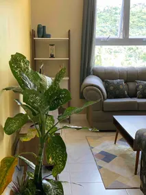 Home Away from Home - Image 2