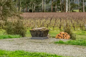 Sambar Hills: King Valley- #2 Vines Guest Suite - Image 4