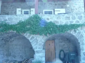 Close call - Image 2
