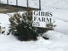 Gibbs Farm Cottage; Kids and Pets Welcome - Image 5