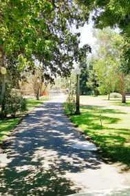 country guesthouse on seasonal creek/animal rescue - Image 2