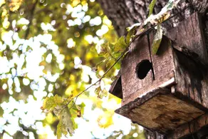 Nature Guesthouse - Image 4