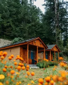 Forest Escape Cottages - Image 4