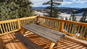 Secluded Modern Cabin On 10 Acres Tarryall Creek - Image 5