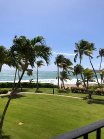 Fantastic Ocean Front 2 bedroom  2 Bath Villa In Pal Mas Del Mar Resort. - Image 2