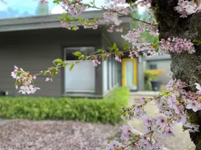 Hidden Gem Secluded Garden Oasis Family Getaway - Image 2