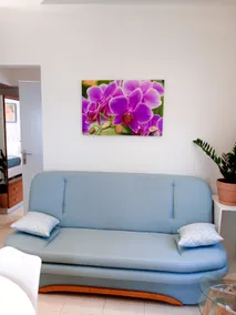 Orchid Studio 2 - Image 5