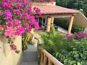 Luxe et paisible petit condo avec accès direct à la plage - Image 3
