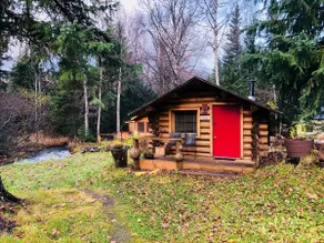 Hobbit Hole, a private cabin for 2 on Bear Creek - Image 3