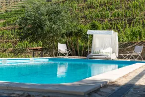 Stunning Boutique Vineyard Stay with Pool - Image 4