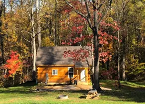 NEW! COZY 4 Guest Cabin in Damascus! PET FRIENDLY!  - Image 2