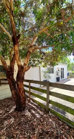 Rural Retreat - Image 2