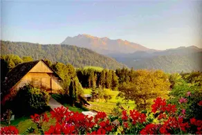Apartment on the farm with views of the Alps - Image 3