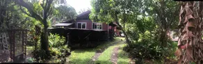 The Tropical Canopy Studio near Pahoa, Hawaii - Image 3