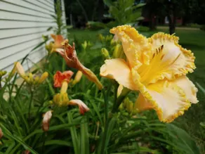 Dells Area Nature Getaway - Image 5