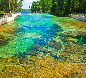 Drifter's Landing at Lakes Kerr's, Kerr Key - Image 3