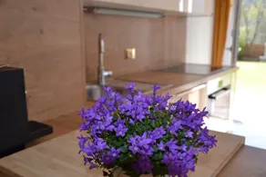 NEW - Luxury apartment with sauna & pool - Image 2