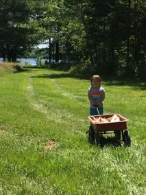 Afsondret / privat Maine Lake Retreat - Image 3
