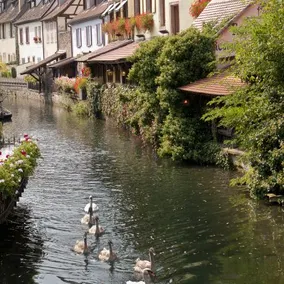 ”Le Cygnet” in the heart of Little Venice in Colmar - Image 2