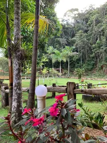 Mountain ranch with pool and nature - Image 5