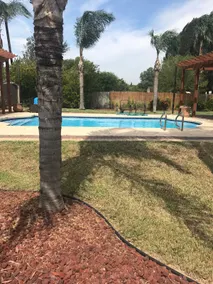 Harlingen Guesthouse with a Pool - Image 2