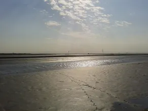 Nord Frisia - Nella terra degli orizzonti - Image 3