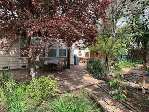 Executive Traveler's Retreat - Image 2