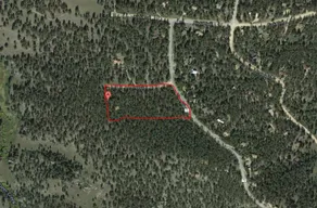 Wooded 5 Acre Cool Peaceful Mountain Cabin Retreat - Image 4
