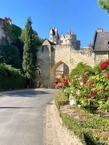 Casa rural Le Flamboyant Montreuil Bellay - Image 3