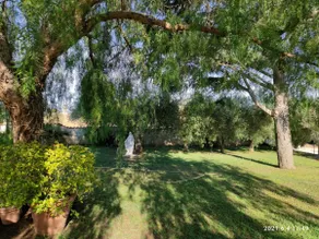 Villa Romana exclusive pool, Sea and Countryside Anzio - Image 5