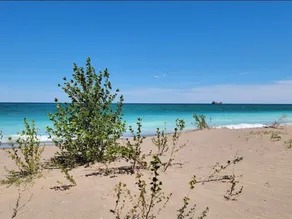 Rogers City Beach House - Image 2