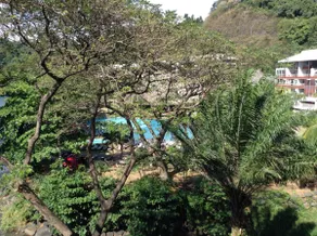 Duplex with sea view, direct beach access, luxury! - Image 2