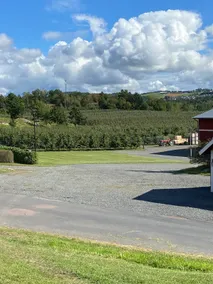Stay at an apple orchard in beautiful Skärstadalen - Image 2