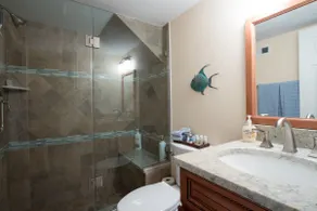 Historic Old Town Alexandria Private Apartment - Image 5