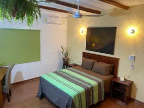 Palapa Iguana - Apartment - Tropical Garden - Downtown - Image 3