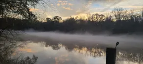Serene Savannah River Cabin! GATED with breakfast! - Image 3