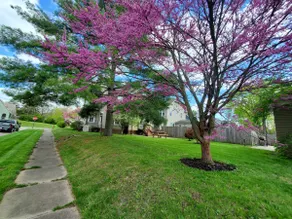 Middletown Centenarian 4 Bed 2 Bath Sleeps 12 - Image 5