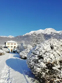 Your home on the slopes of the Dolomites - Image 5