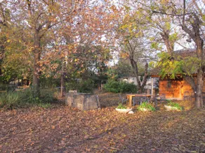 Danny's Farm - Big Family - Image 5