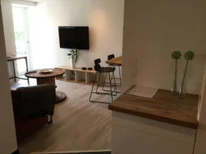 Natural pearl, apartment 45 m2, private entrance. - Image 4