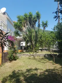 Villa Alge (large villa 40 meters from the sea) - Image 3