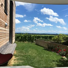 Architect-designed eco-gîte, vineyard, 5 suites, sauna - Image 5
