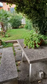 Le palme - Image 3