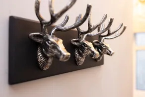 Stylish George Street Apartment - Image 3