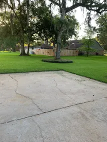 A little taste of Texas - Image 2