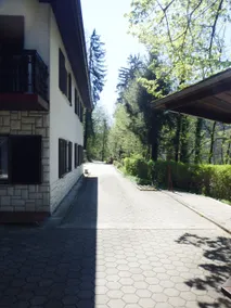 Beautiful Nature 25 meters from the river Sava - Image 5