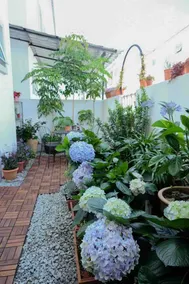 Comfy Sofy 21- Backyard Garden- Night Market area - Image 2