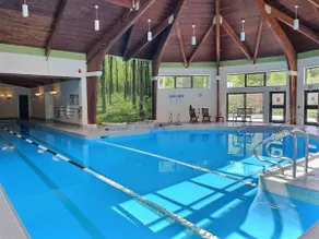 SnowCub Pets Indoor Pool Hot Tub Sauna, FirePlace - Image 2