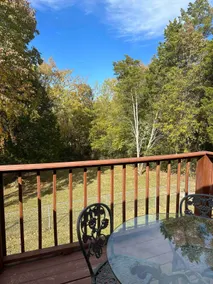 Music City Medley, Pets and Families Welcome! - Image 3